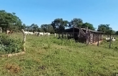 Fazenda para venda em Diamantina